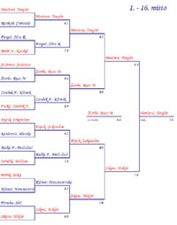 Finlov pavouk turnaje Rubicon Moravia Cup