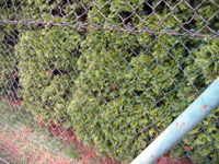 Opravemý zadní plot