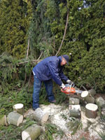 René při řezání stromu