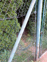 Prořezaný plot