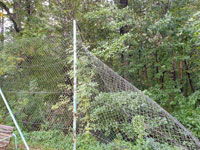 Poškozený plot
