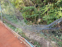 Poškozený plot